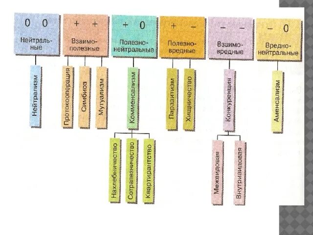 Биотические связи в природе таблица. Основные типы экологических взаимодействий схема. Типы экологических взаимодействий таблица. Типы экологических взаимоотношений. Типы взаимоотношений в экологии.