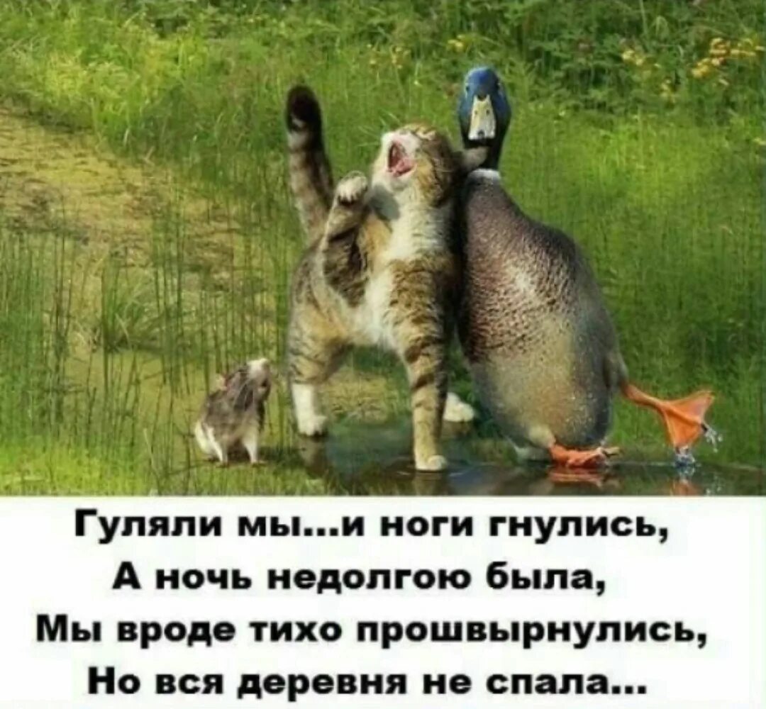 Гуляем болтаем