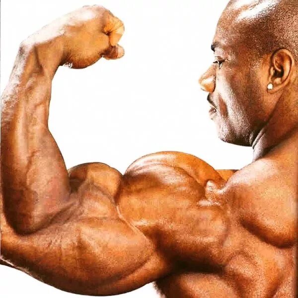 Бицепс мужчины. Рельеф бицепса. Упражнения на бицепс. Бицепс растет. Огромный бицепс.