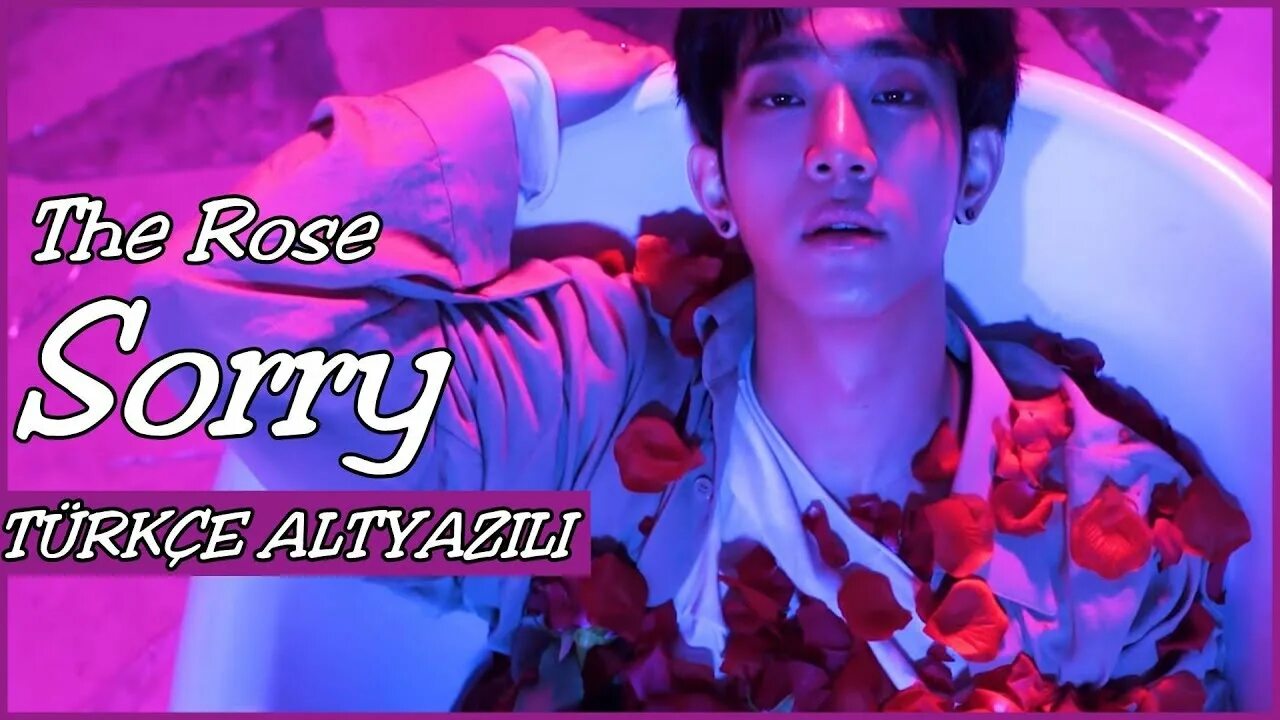 The rose sorry обложка. The rose alive. The rose sorry обложка. The rose корейская группа. Роуз kpop.