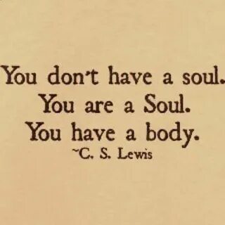 Is there a soul