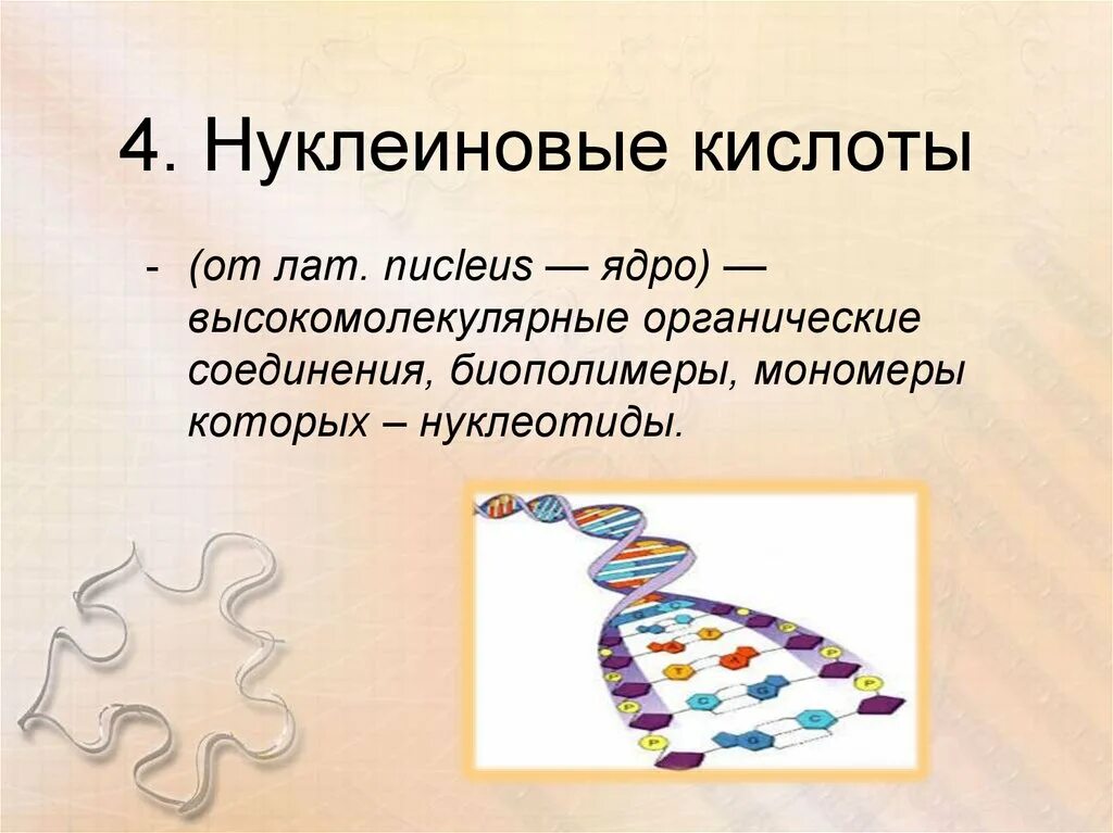 Нуклеиновые кислоты биология 9 класс. Нуклеиновые кислоты определение. Нуклеиновые кислоты классе. Нуклеиновые кислоты кратко.
