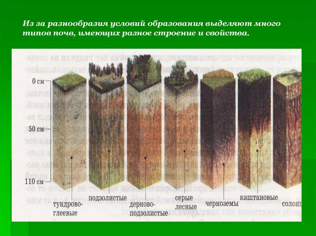 Соотнесите природные зоны и характерный тип почвы. Типы почв. Разнообразие почв. Типы почв схема. Типы почв география.
