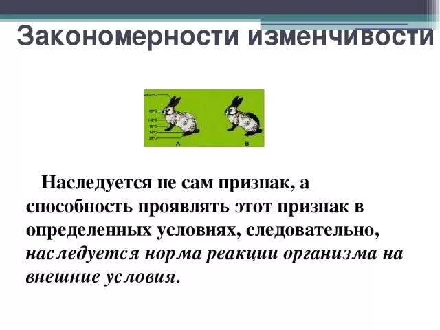 Закономерности модификационной изменчивости норма реакции. Закономерности наследственной изменчивости. Изменчивость закономерности изменчивости. Закономерности изменчивости биология. Закономерность наследственной изменчивости