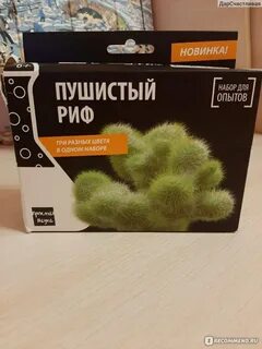 Прайс риф