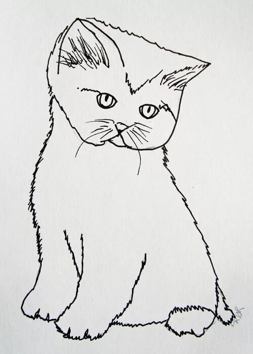 Как нарисовать катнапа. Срисовка ката карандашом. Рисунки для срисовки лёгкие каты. Шотландский котенок набросок карандашом. Наброски кошек карандашом детские.