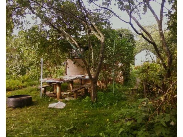 Снт северная верфь. Красное село садоводство ветеран дом 89. Санкт-петербург, садоводство красный октябрь, 2-я линия. Снт красные зори петергоф. Снт северная верфь.