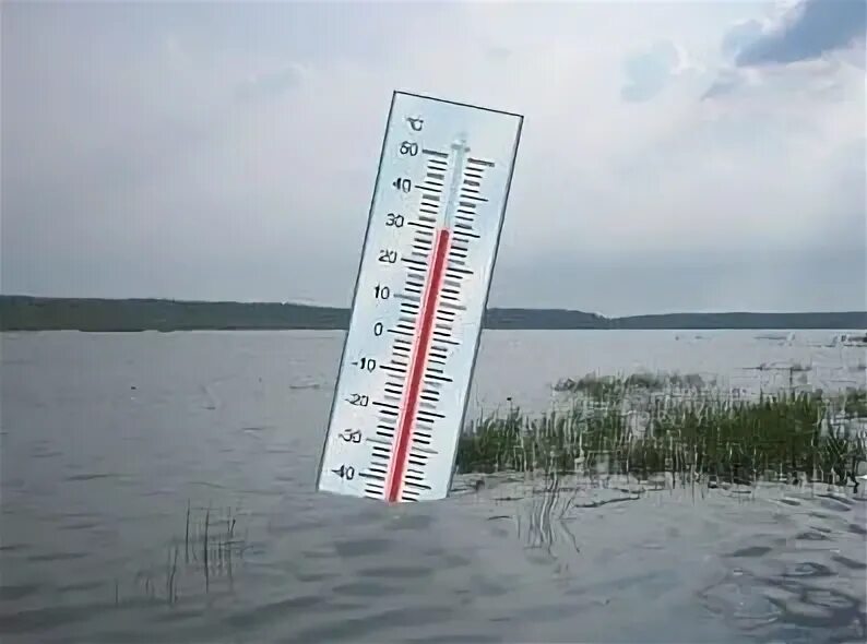 Температура воды в реке дон. Влияние температуры на рыб. Температура воды для рыб. Влияние температуры на рыбу фото. Как уровень воды влияет на клёв рыбы.