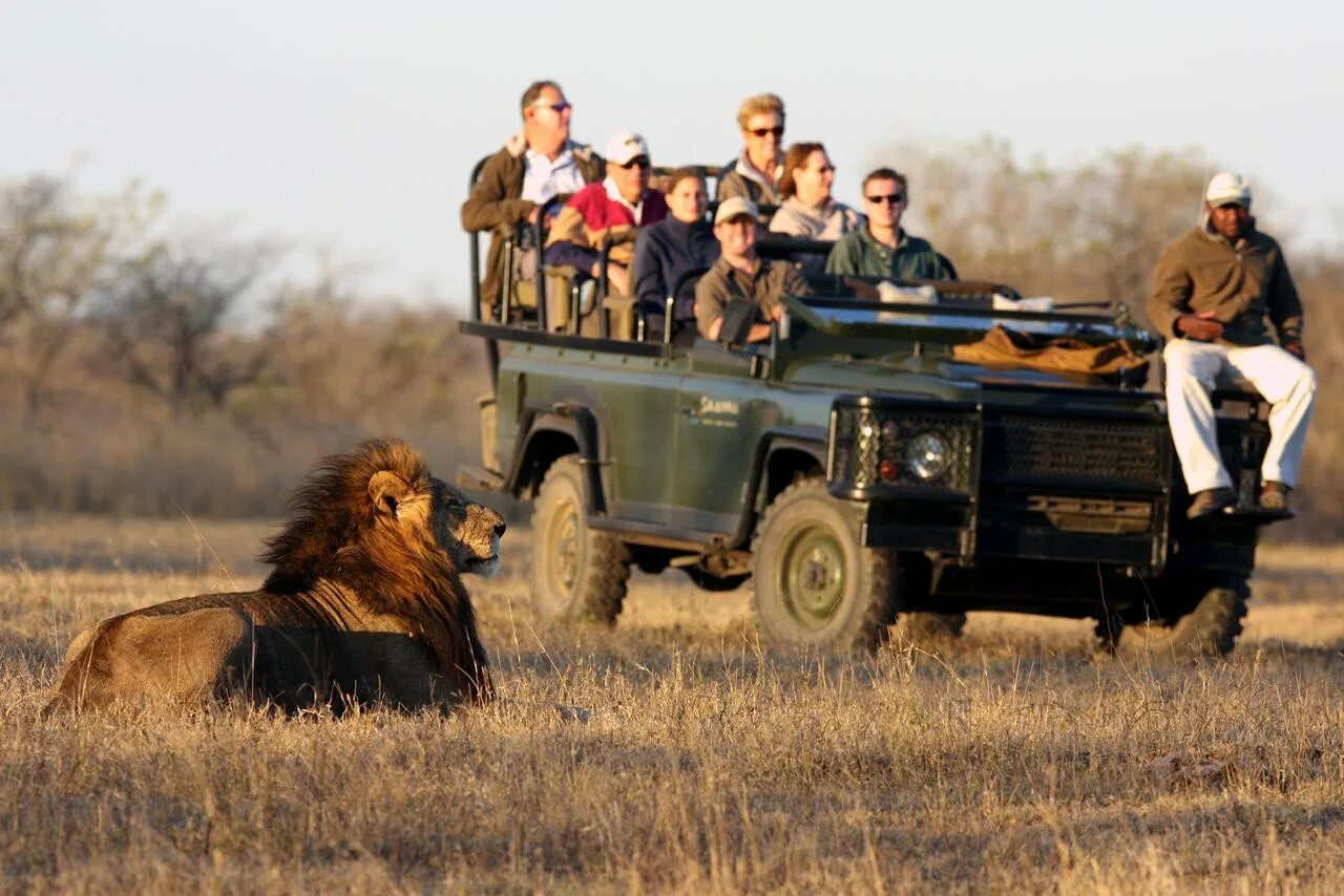 Africa safari. Сафари ЮАР Крюгера. Джип сафари Танзания. Джип сафари Занзибар. Саванна сафари.