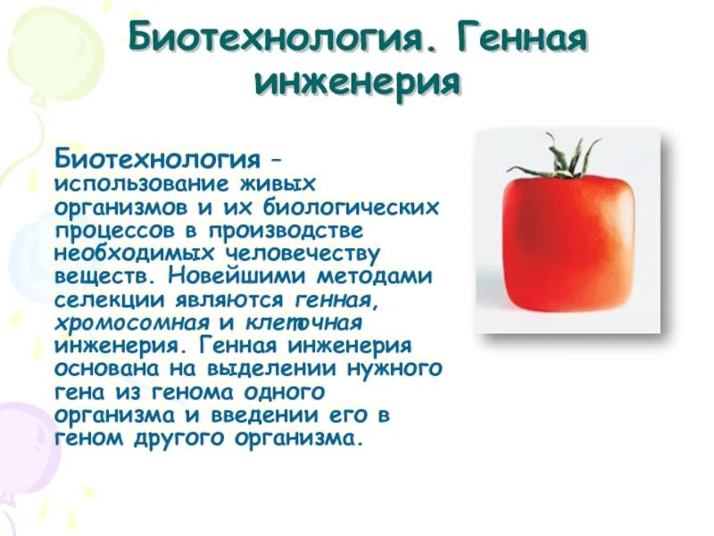 Генетические биотехнологии. Генная инженерия в биотехнологии. Методы селекции и биотехнологии. Генная инженерия в селекции. Селекция и биотехнология.