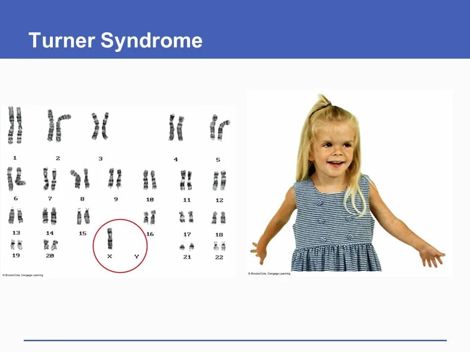 Май тернера. Уилл тернер. Уилл тернер. Май тернера. Май тернера.