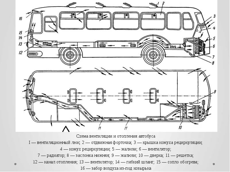 Типы кузовов автобусов