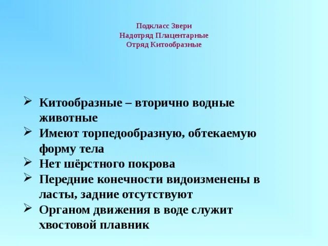 Подкласс низшие звери представители. Подкласс плацентарные. передние конечности видоизменены в ласты, задние отсутствуют. плацентарные это подкласс или отряд. особенности каждого отряда из подкласса плацентарных.