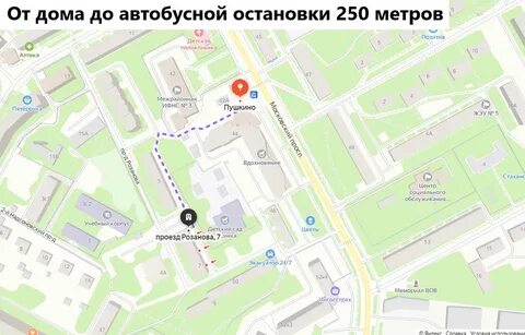 Пушкино проезд