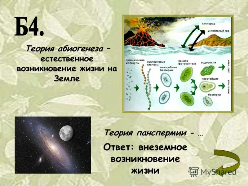 Тест по биологии возникновение жизни на земле