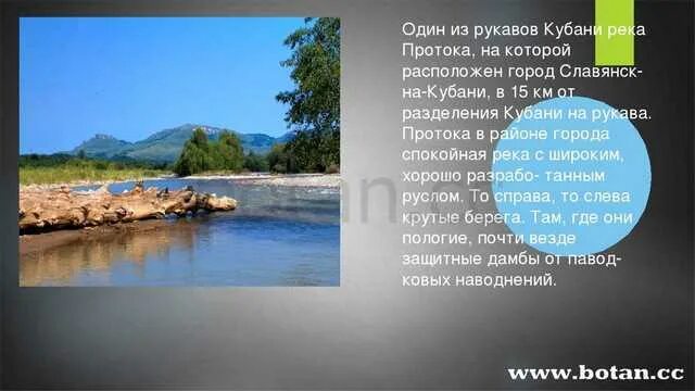 Река кубань 3 класс кубановедение. Водоемы кубани 4 класс кубановедение. Река кубань доклад. Река кубань притоки реки. Водные богатства краснодарского края река кубань.
