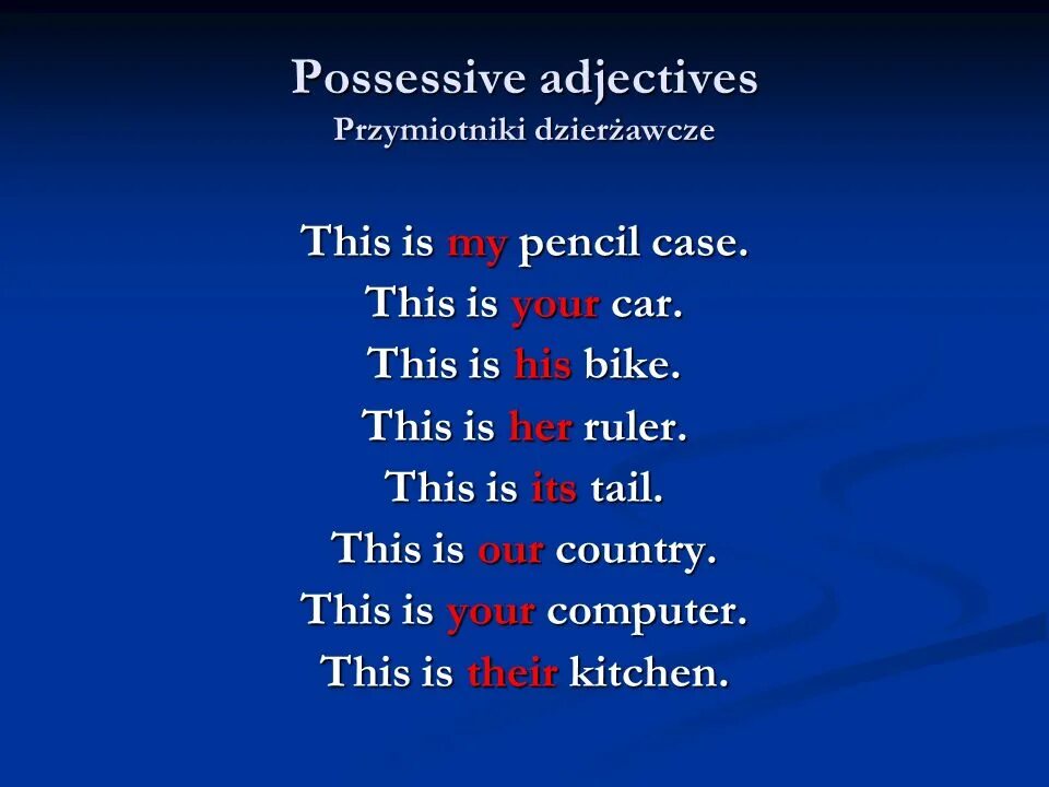 Possessive adjectives предложения. Possessive adjectives правило. Possessive adjectives перевод. Possessive adjectives примеры предложений. Adjective перевод на русский