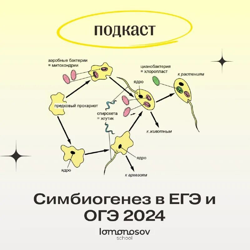 5 вариант огэ биология 2024. Егэ биология 2023. Раб. Сборники по огэ физика 2023 камзеева. 5 вариант огэ биология 2024.