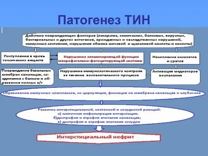 Этиология нефрит
