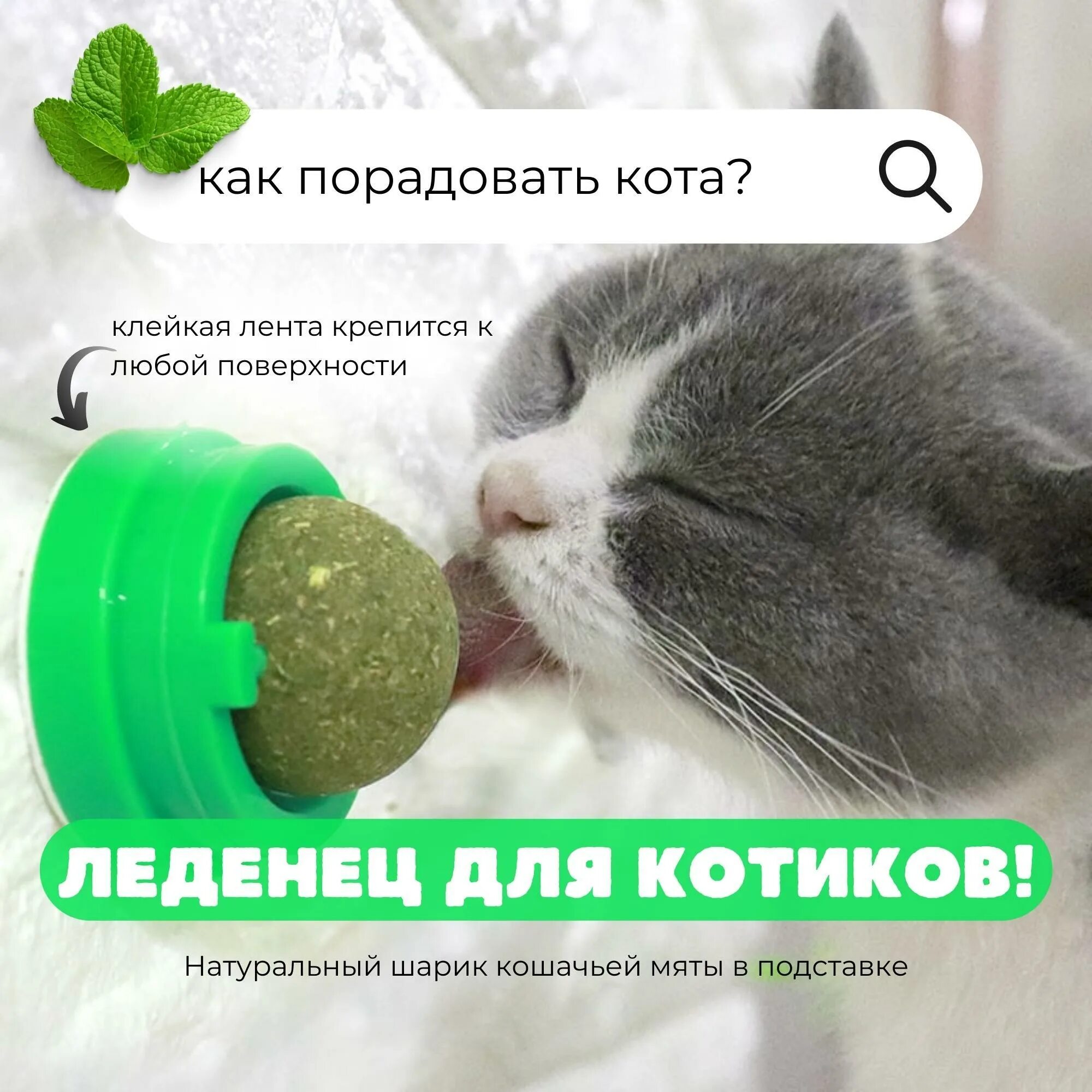 Для чего кошачья мята котам. Шарик с кошачьей мятой. Мята для котов шарик. Шарик с кошачьей мятой для кошек. Мятный шар для кошек.