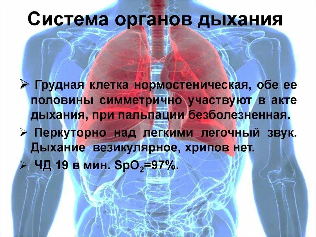 Больно дышать в грудной клетке при вдохе. Дыхание грудной клеткой. Обе половины участвуют в акте дыхания. Грудная клетка система органов. Грудная клетка симметрично участвует в акте дыхания.