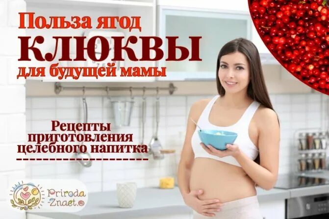 Клюква от отеков при беременности. Клюква при беременности. клюква для беременных. клюква для беременных в третьем триместре. клюквенный морс от отёков.