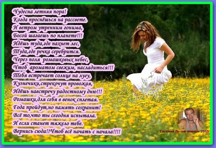 Последние цветы лета стихи. Лето прекрасно стихи. Лето прекрасно стихи. Стих про лето. Красивые стихи о лете.