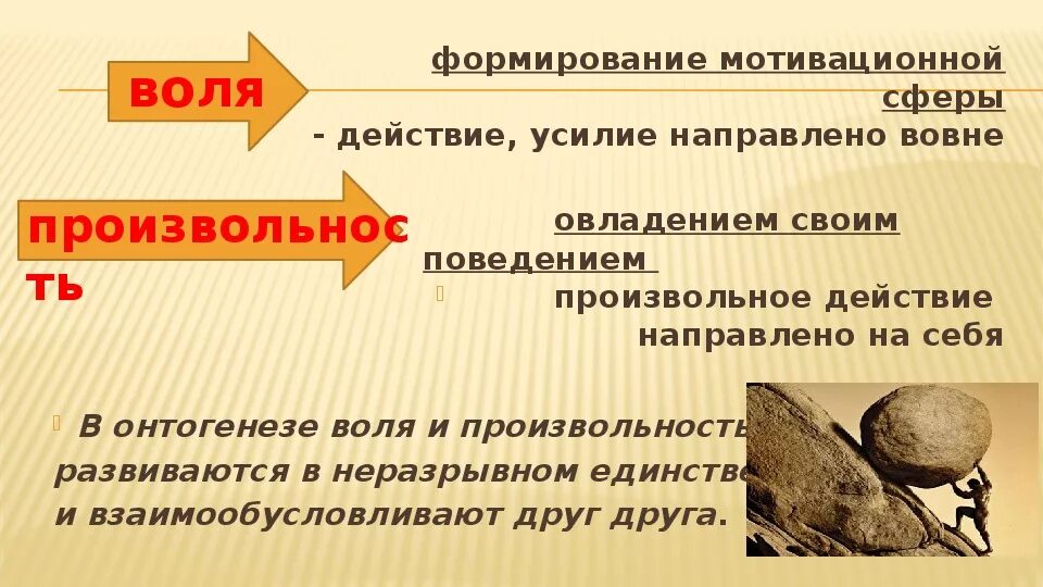 Развитие воли в онтогенезе. Воля и произвольность в психологии. Развитие воли в дошкольном возрасте. Воля и произвольность дошкольника.