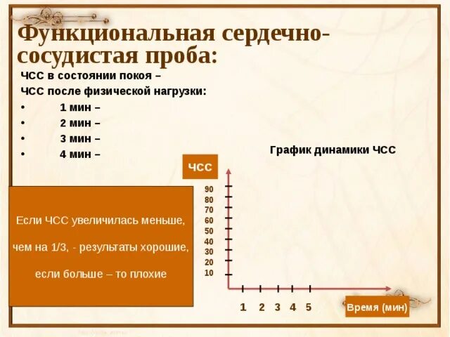 Пробы на сердечную систему. Пробы на сердечную систему