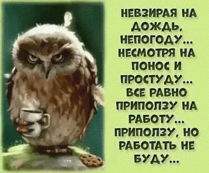 Невзирая на опасность. Приползу на работу но работать не буду. Невзирая на дождь. Приползуно работать неюуду. Невзирая на дождь непогоду несмотря на понос и простуду.