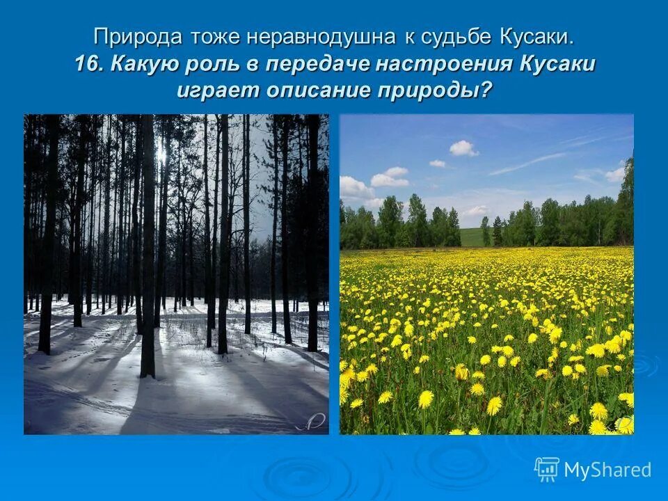 Евгений онегин образ татьяны. Роль человека в природе. Роль приводы в жизни человека. Сон татьяны анализ. Какую роль в характеристике татьяны играет природа.