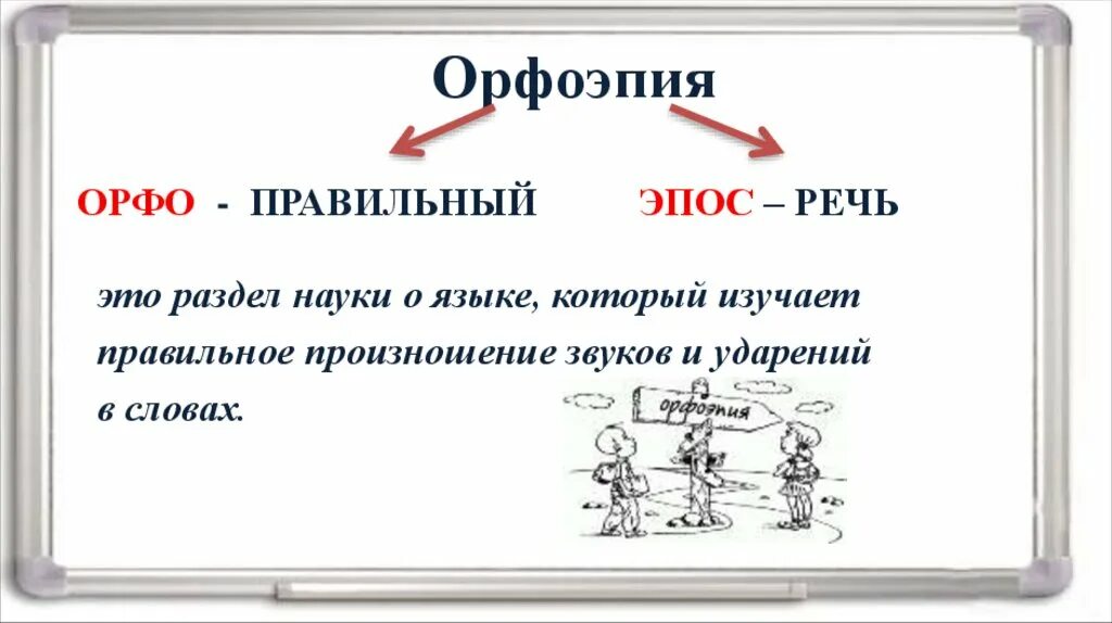 Приму или прийму как правильно. Орфоэпия. Орфоэпия это в русском языке. Орфоэпия ударение. Орфоэпия 5 класс.