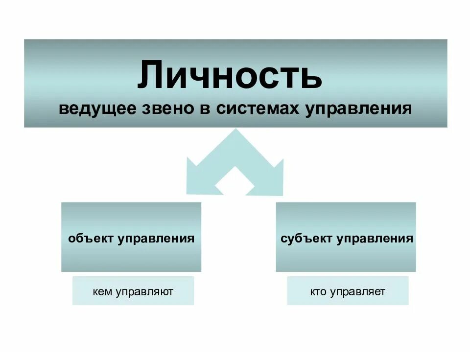Человек как управляющий объект