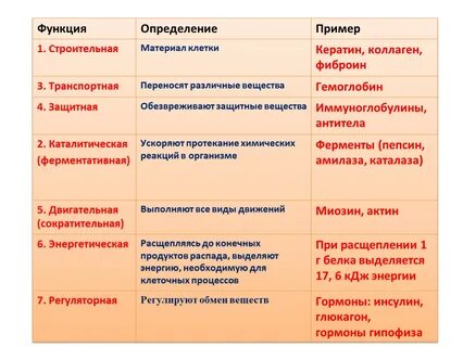 Строение и функции белков конспект