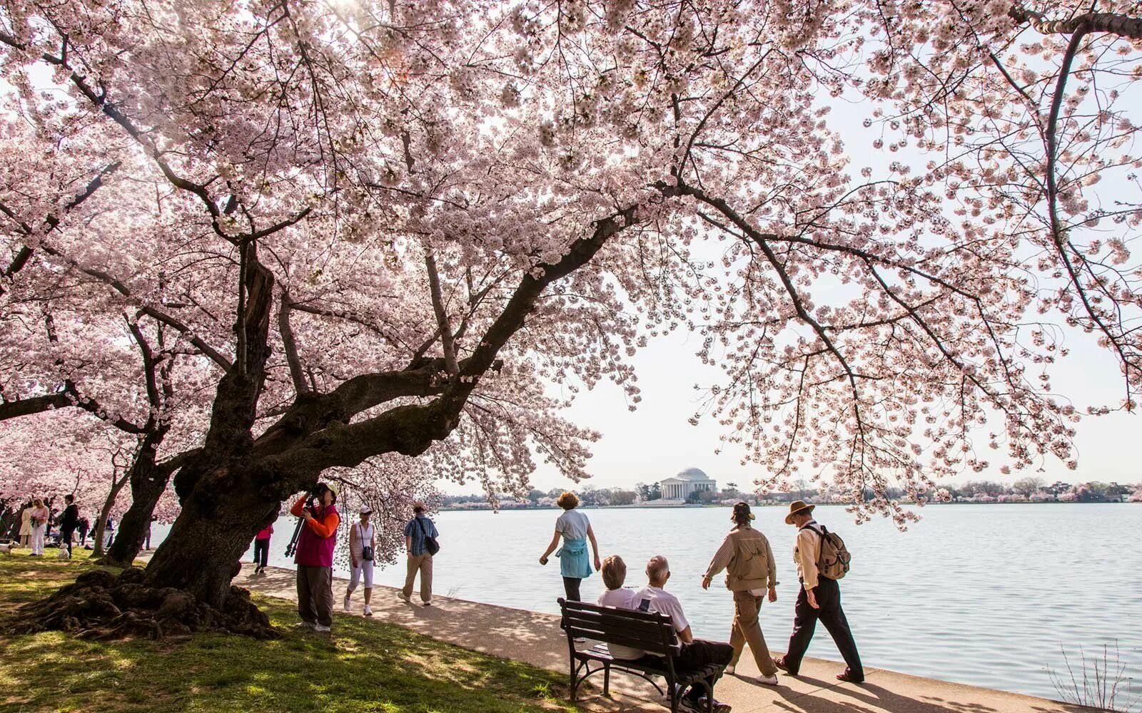 Was the best in spring