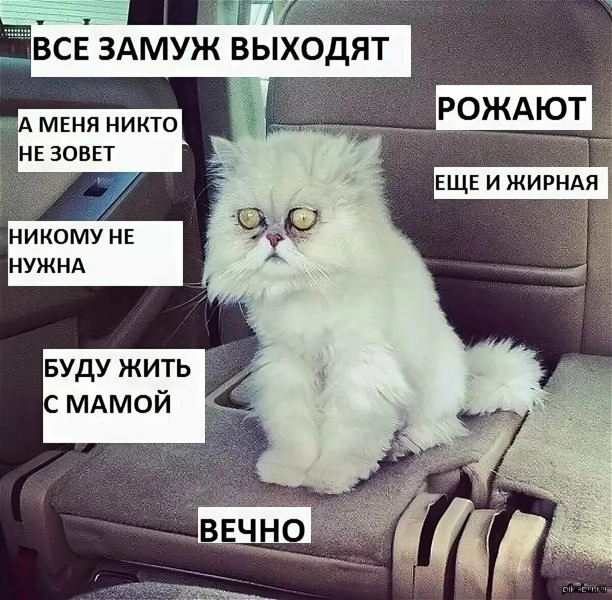 Живущий не вечно 8. Когда замуж приколы. Все замуж повыходили. Когда замуж картинки. Картинка когда замуж выйдешь.