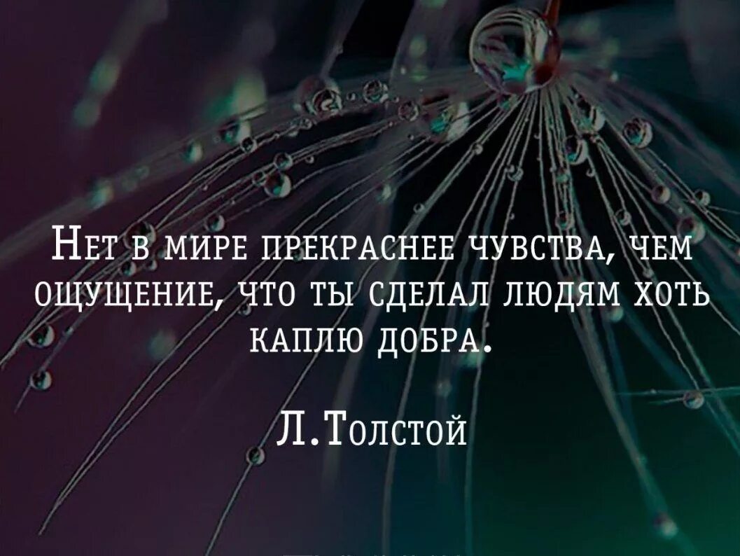 Благодарю высказывания. Афоризмы про благодарность. Высказывания о благодарности людям. Благодарность цитаты великих. Замечательный ощущение