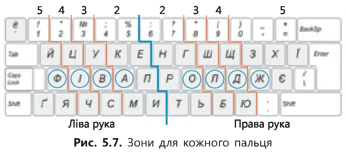 Раскладка клавиатуры тренажер. Пальцы на клавиатуре. Разделение клавиатуры для правой и левой. Раскладка клавиатуры для печати вслепую. Раскладка рук