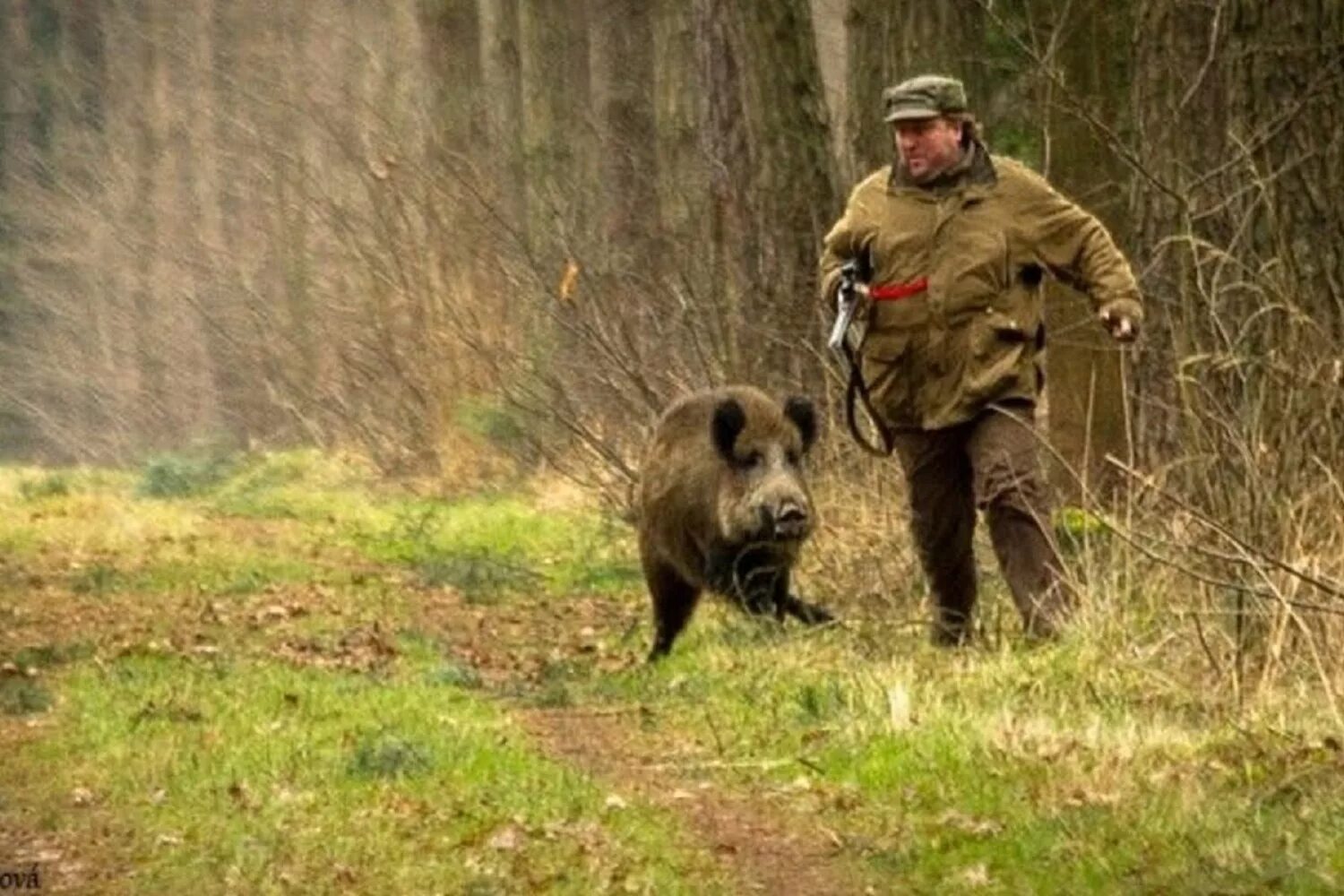 охотник. грибники в лесу. странное в лесу охотники. охотник. грибники: тихая охота.