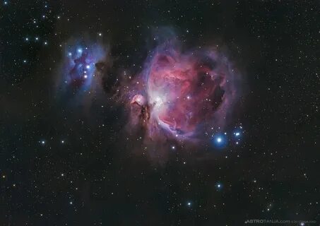 m42_TanjaFeatured-big 