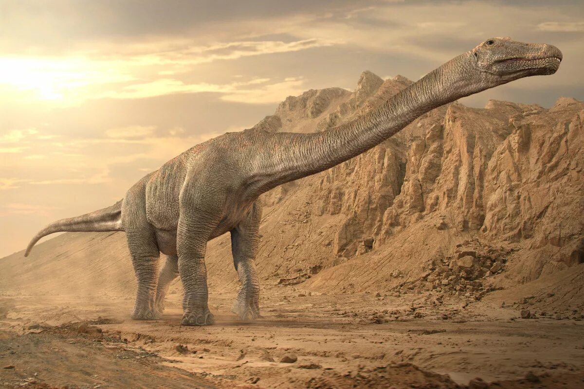 самый большой динозавр в истории dreadnoughtus schrani. титанозавр сейсмозавр. титанозавр и аргентинозавр. кит зауропод argentinosaurus. диплодок аргентинозавр.