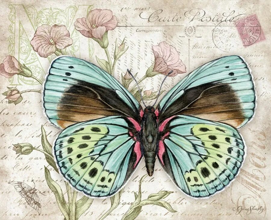 Jane Shasky. Художница Jane Shasky. Бабочки.. Винтажная бабочка. Бабочки для декупажа.