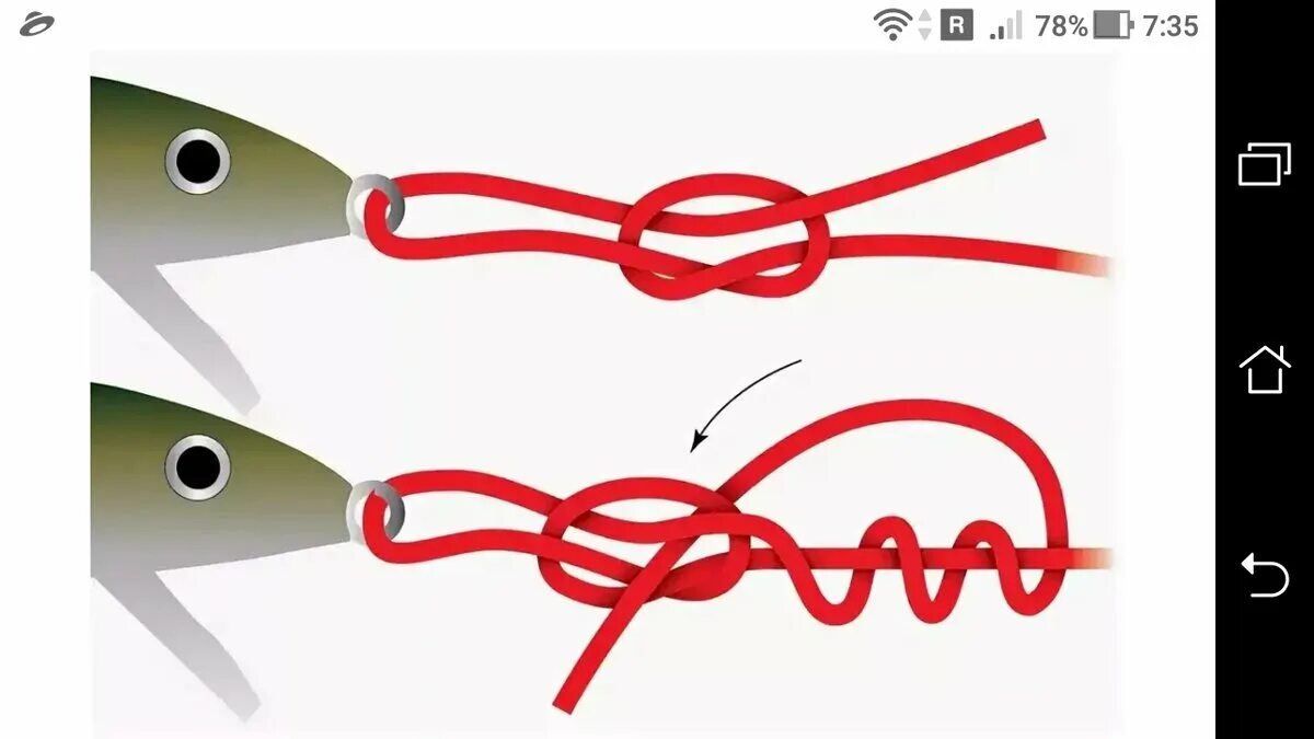 Как завязывать узлы на поводках Tying Dropper Loop Knot Fishing knots, Loop knot, Strong knots