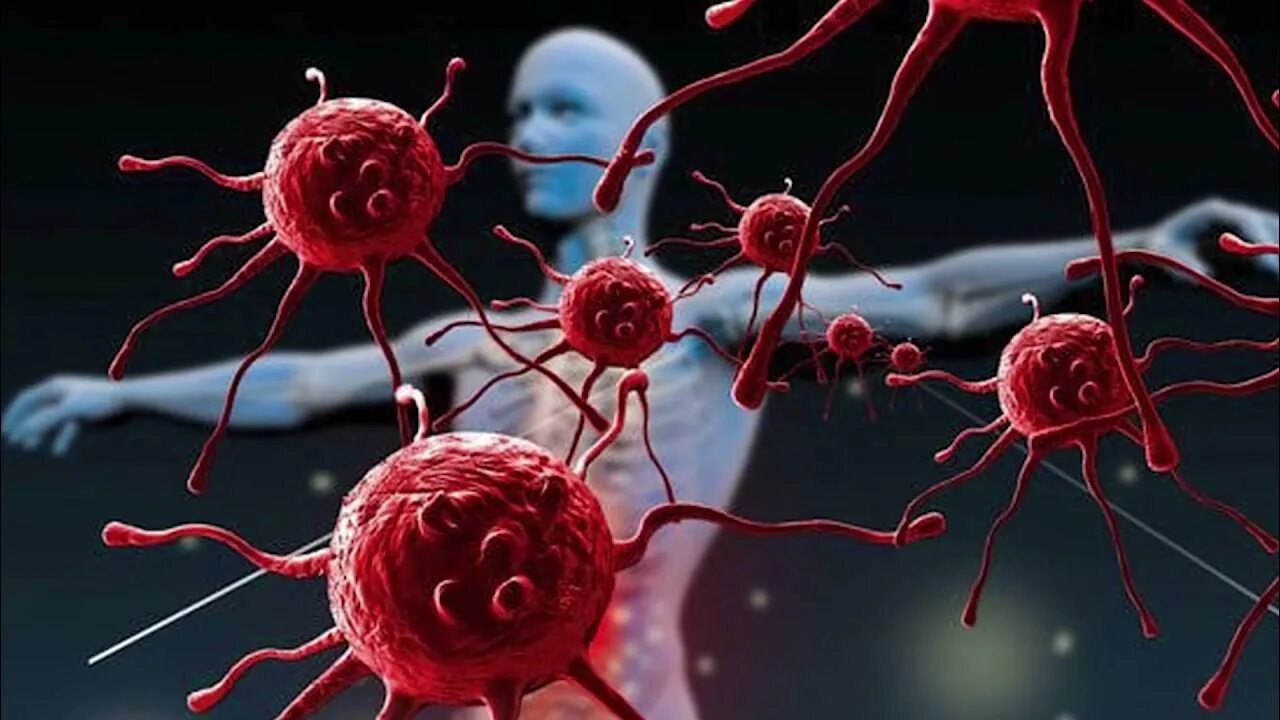 Artificial immune system. Artificial immune system