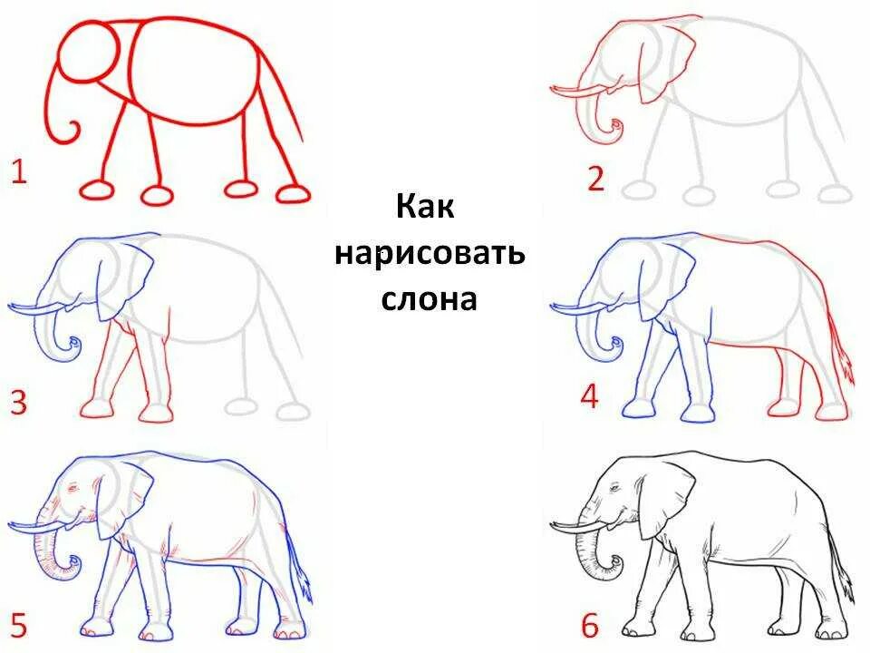 Поэтапное рисование. Как рисовать слона. Поэтапные рисунки. Поэтапные рисунки для детей. Учимся рисовать поэтапно для начинающих с нуля