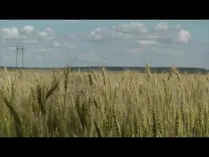 Хлеба налево песня слушать
