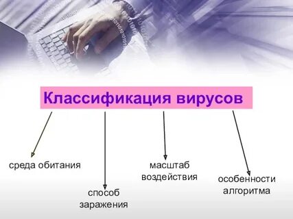 Среда обитания классификация