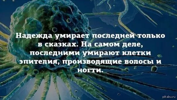 Надеюсь не долго. Смерть надежды.