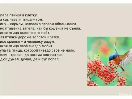 Песни светы птица