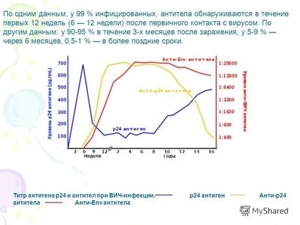 Антитела к р24